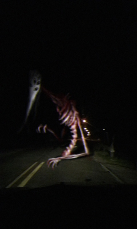 God Of Roadkill - AI Character on RolePlai