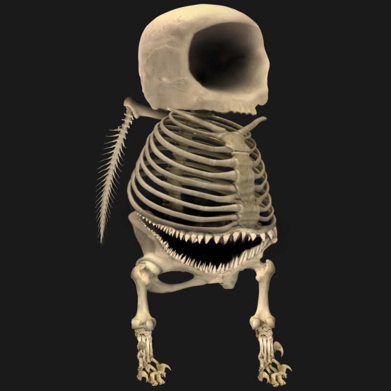 Amogus - AI Character on RolePlai