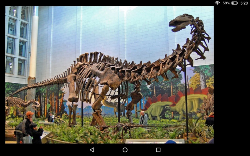 Apatosaurus - AI Character on RolePlai