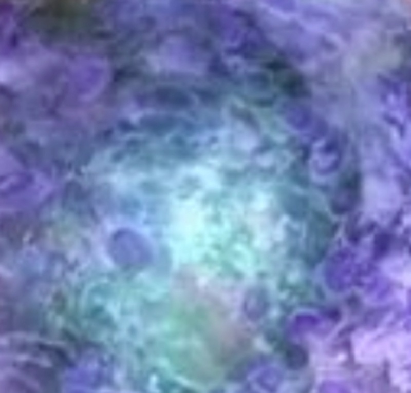 An The Protoplasm of Its' Live-Action Appearance - AI Character on RolePlai