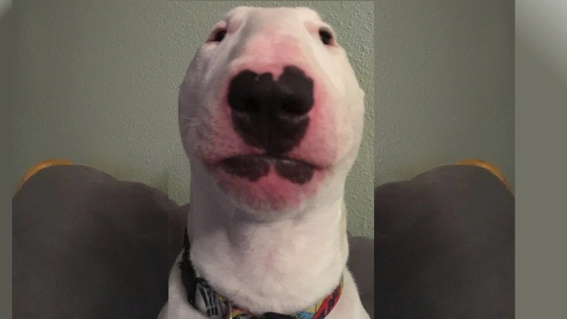 Walter - AI Character on RolePlai