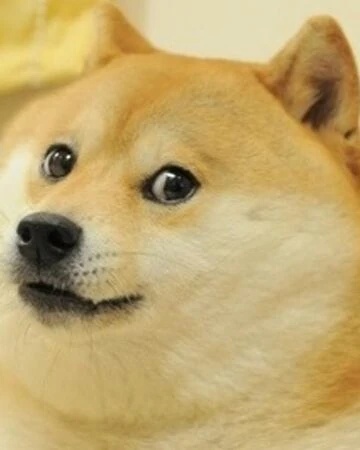 Doge - AI Character on RolePlai