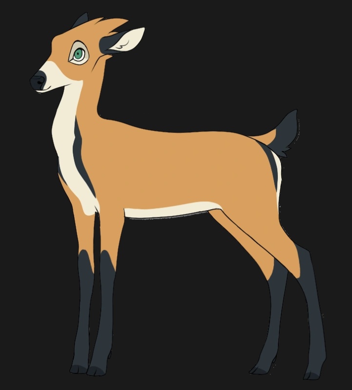 Runi - AI Character on RolePlai