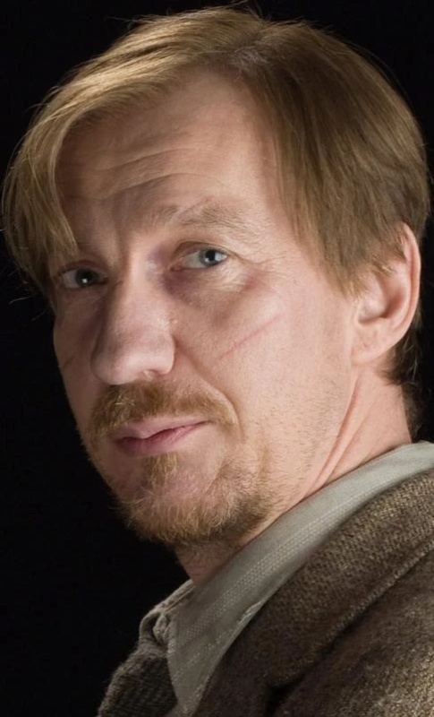 Remus Lupin - AI Character on RolePlai