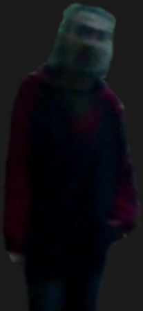 Dominic Sorkisto - AI Character on RolePlai