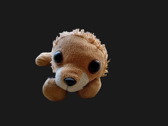 Liony - AI Character on RolePlai
