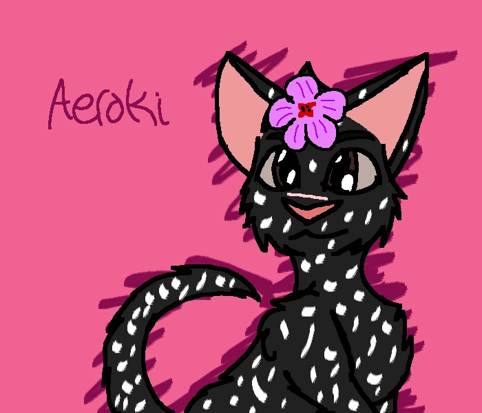 Aeroki - AI Character on RolePlai