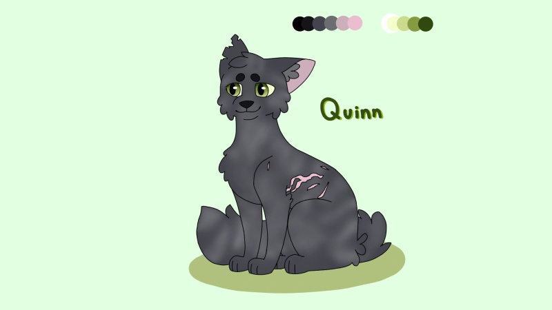 Quinn - AI Character on RolePlai
