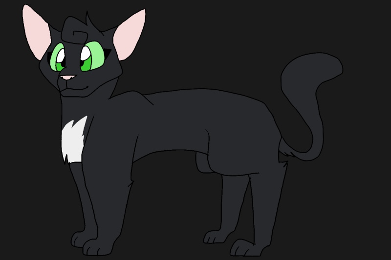 Duskwhisker - AI Character on RolePlai