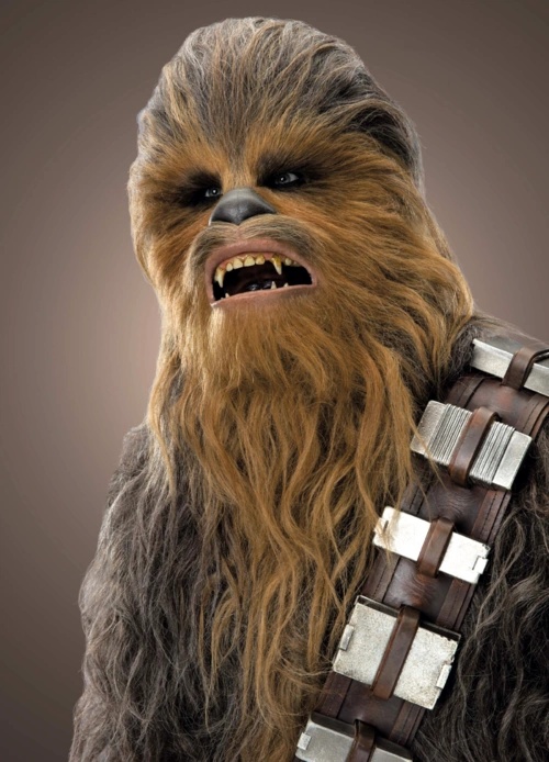 Chewbacca - AI Character on RolePlai