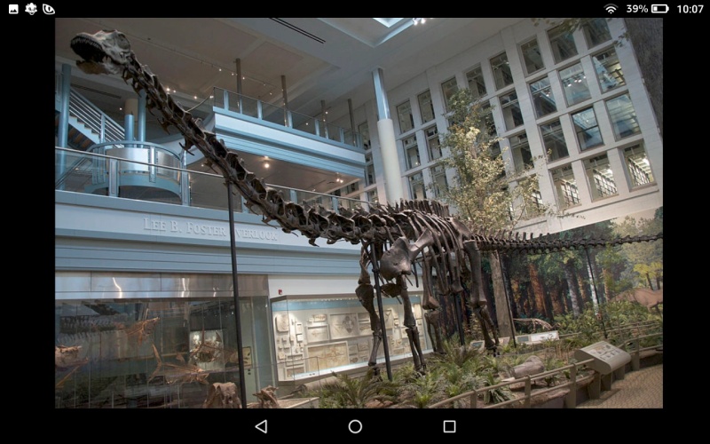 Diplodocus - AI Character on RolePlai