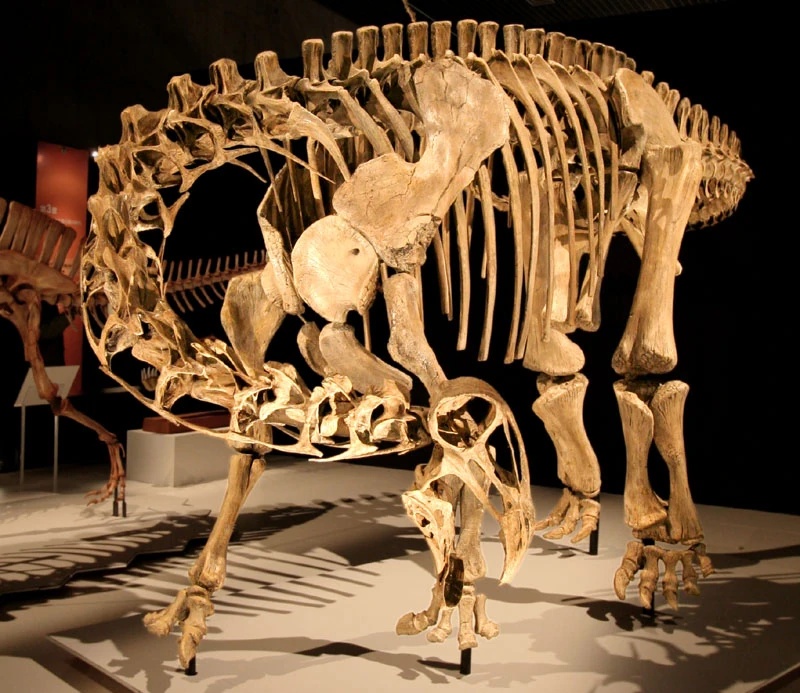 Nigersaurus - AI Character on RolePlai