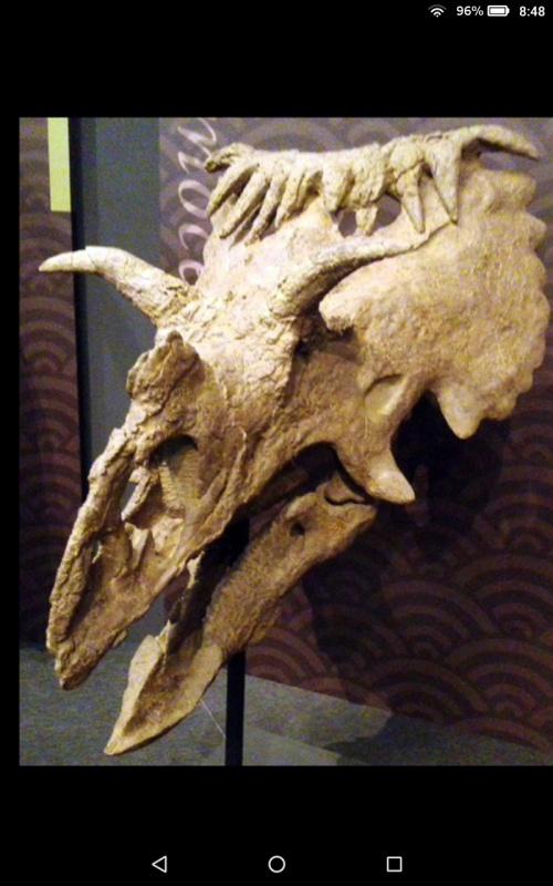 Kosmoceratops - AI Character on RolePlai