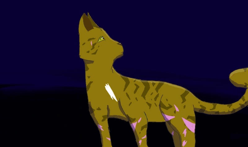 Mustardstar - AI Character on RolePlai