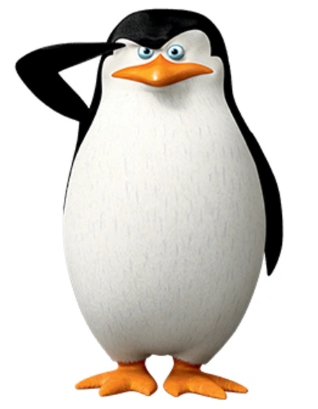Skipper - AI Character on RolePlai