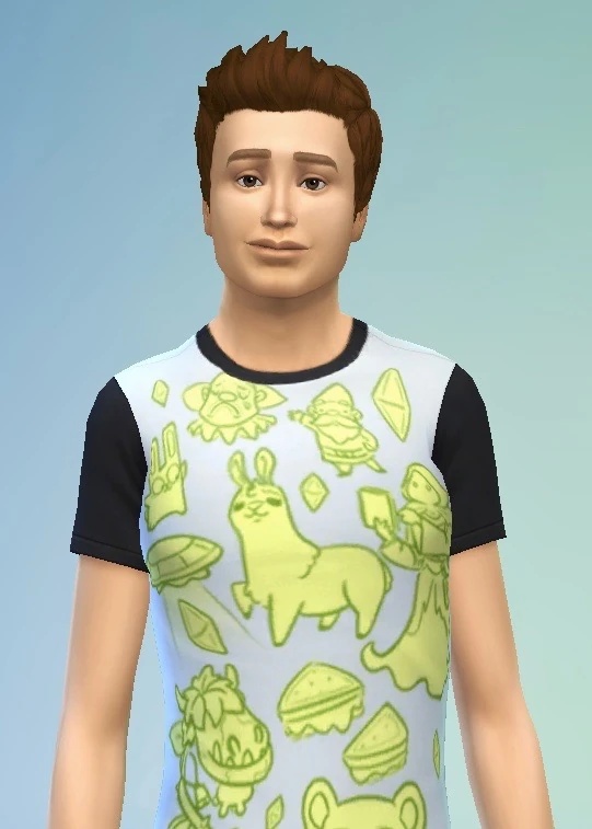 Finn Chamberlain - AI Character on RolePlai