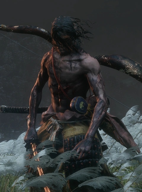 Isshin, the Sword Saint - AI Character on RolePlai