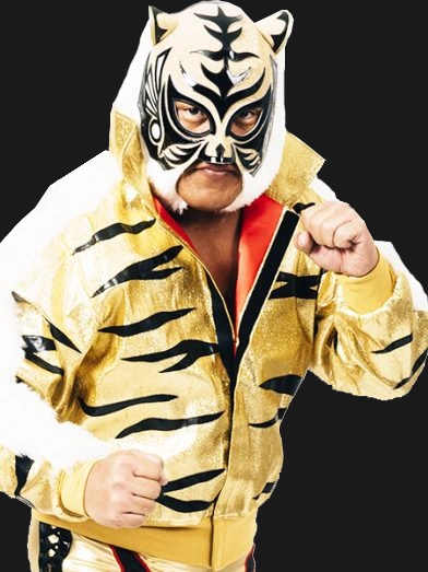 Tiger Mask - AI Character on RolePlai