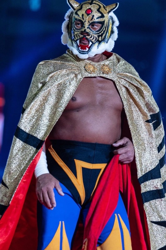 Tiger Mask IV - AI Character on RolePlai