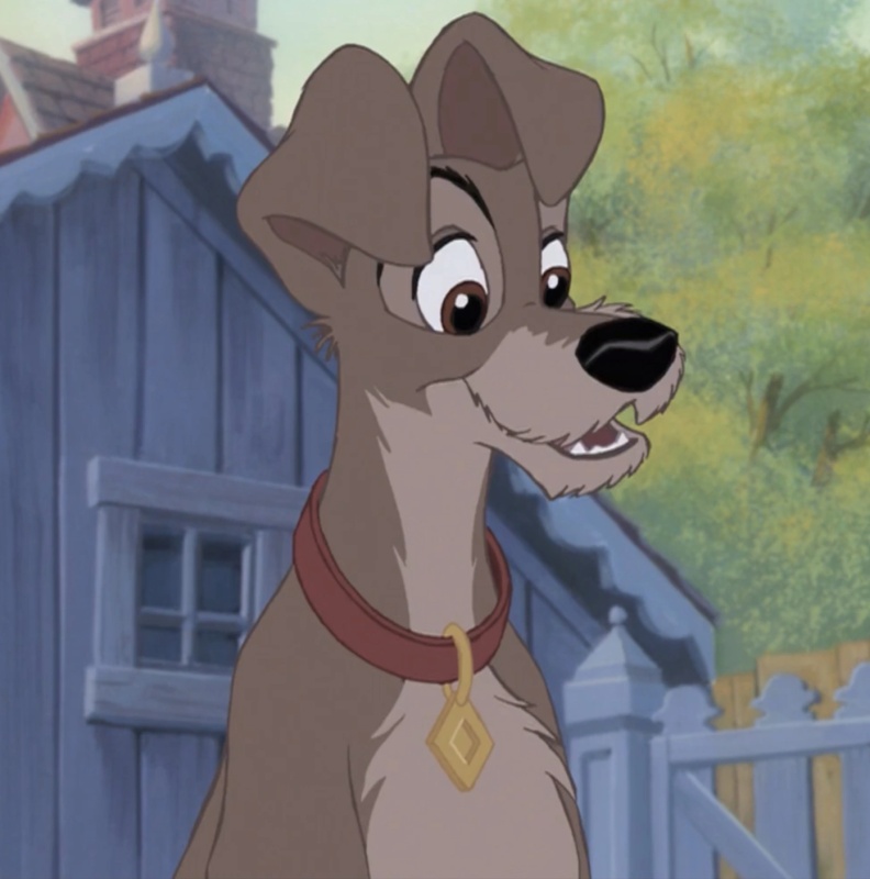 An Brownish-Gray-Mutt Tramp - AI Character on RolePlai