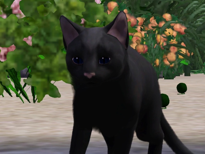 Shiveringfur - AI Character on RolePlai