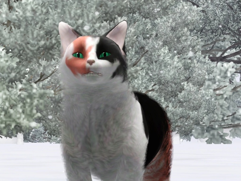 Pinepath - AI Character on RolePlai