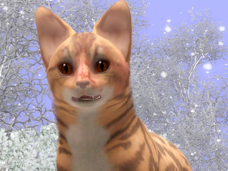Valkyriecatcher - AI Character on RolePlai