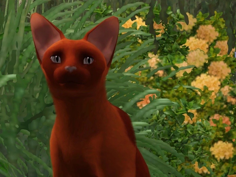 Quillsmoke - AI Character on RolePlai