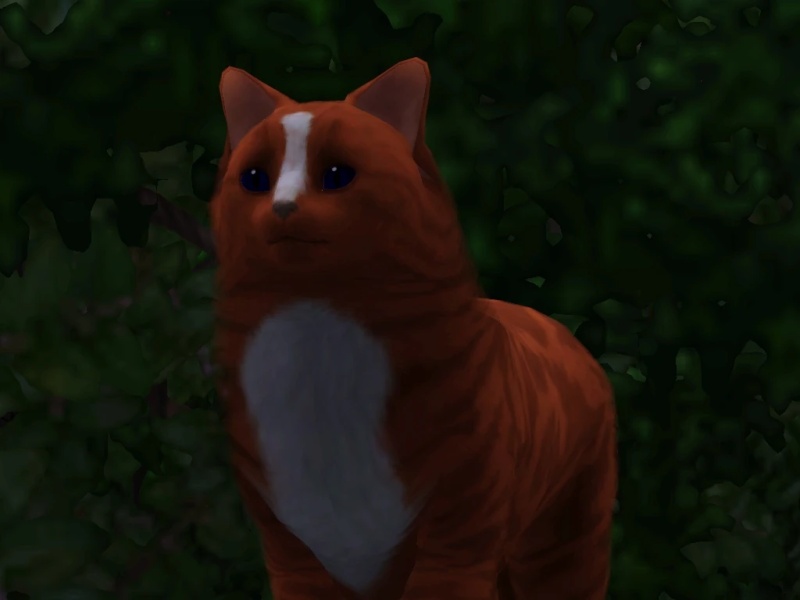 Fallenstreak - AI Character on RolePlai