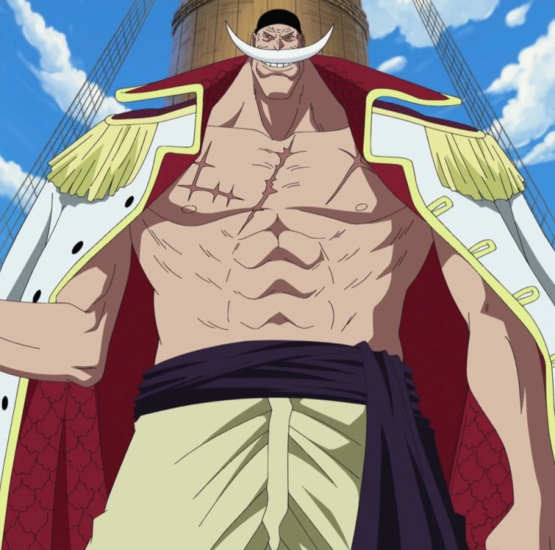 Whitebeard - AI Character on RolePlai