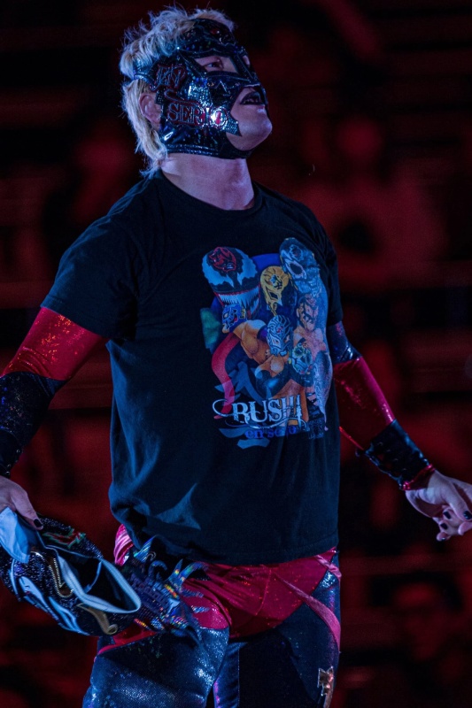 BUSHI - AI Character on RolePlai