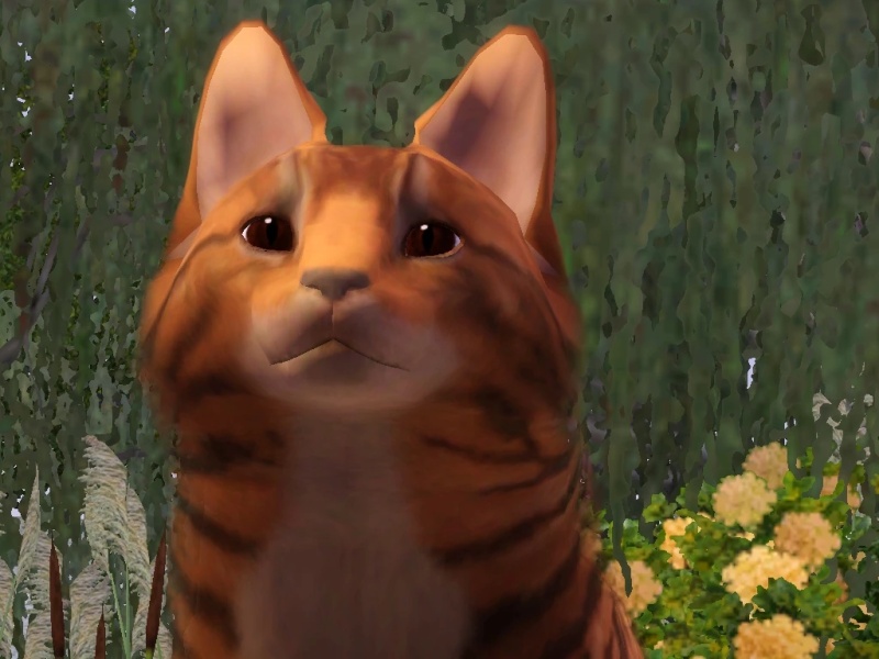 Salmonheart - AI Character on RolePlai