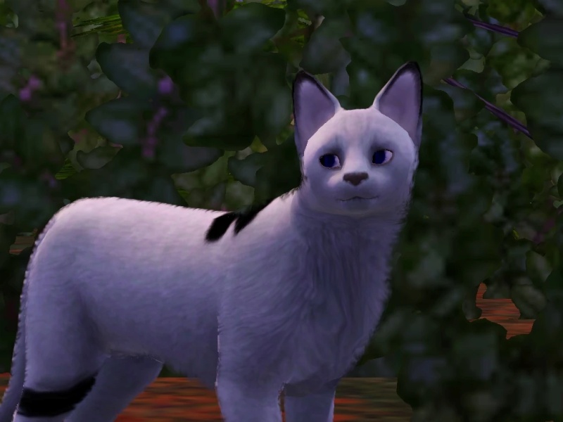 Frostheart - AI Character on RolePlai