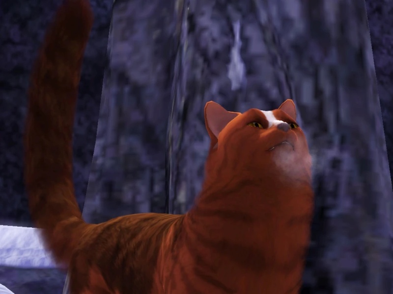 Lightningpaw - AI Character on RolePlai