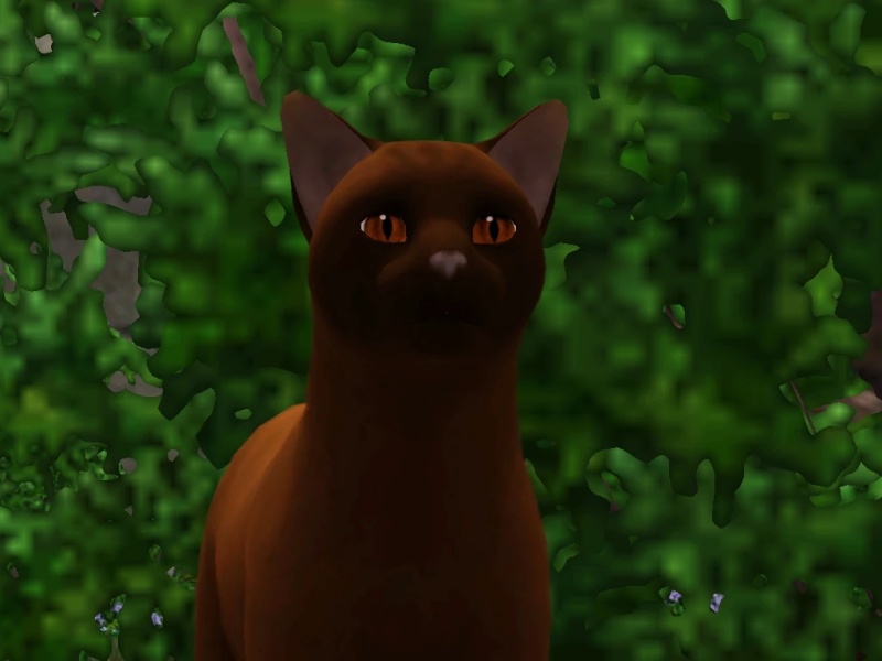 Elmflight - AI Character on RolePlai