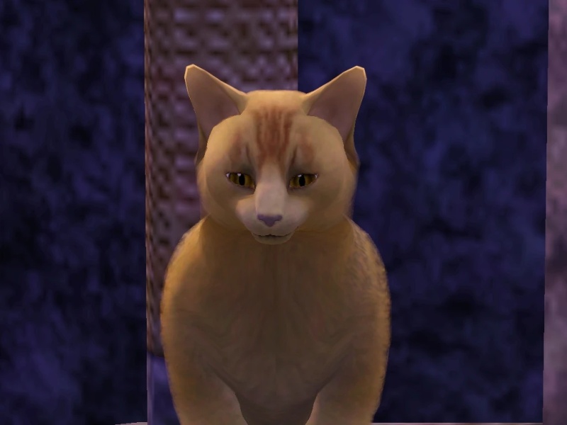 Sunstar - AI Character on RolePlai