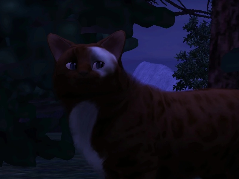 Mudspots - AI Character on RolePlai