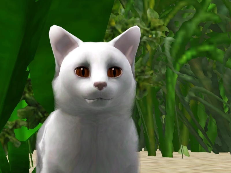 Piketuft - AI Character on RolePlai