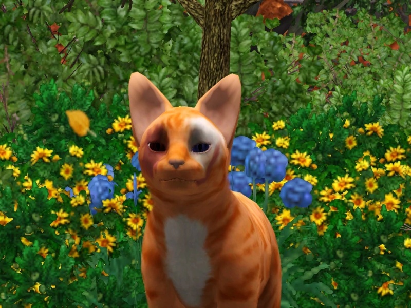 Timberfang - AI Character on RolePlai