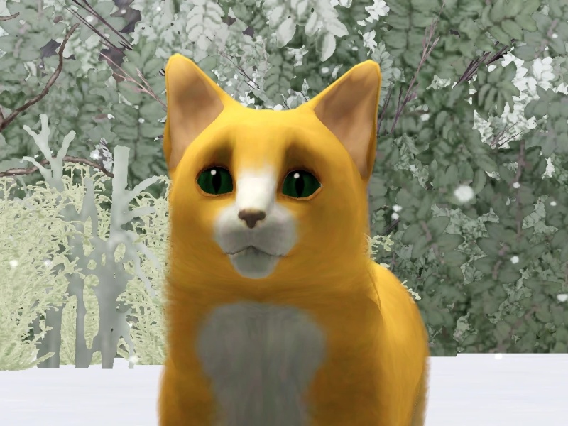 Summerpaw - AI Character on RolePlai