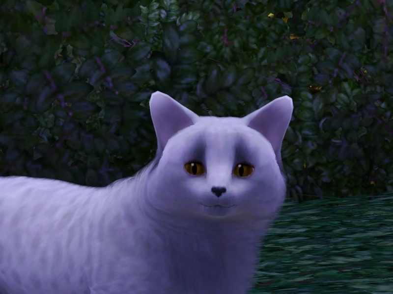 Frozenpool - AI Character on RolePlai