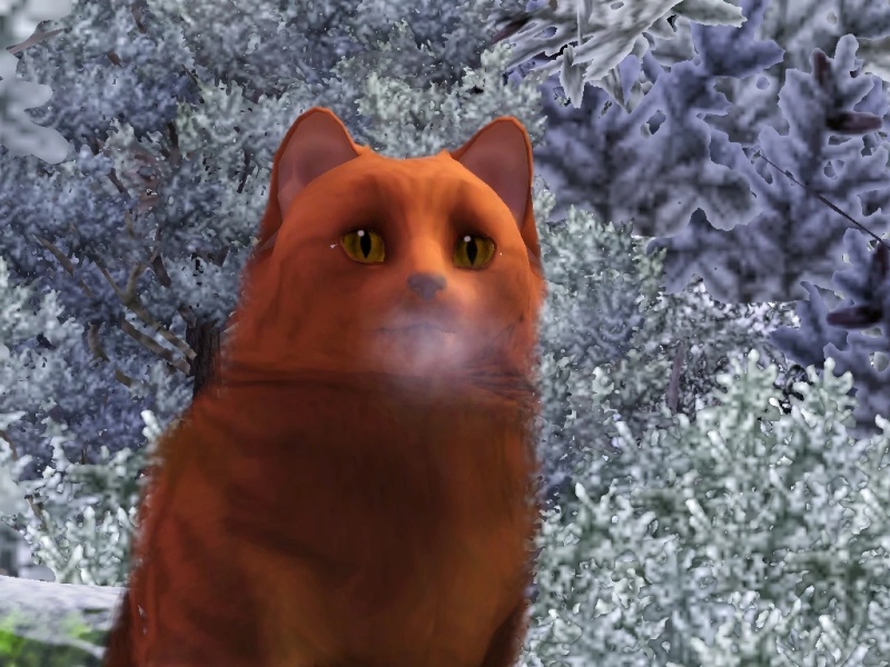 Foxpaw - AI Character on RolePlai