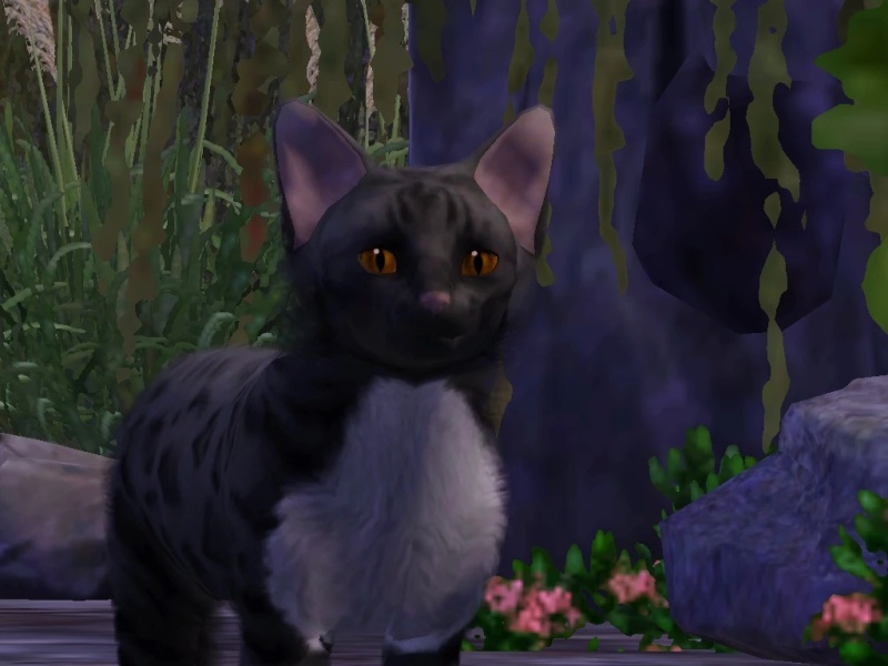 Lavenderswoop - AI Character on RolePlai