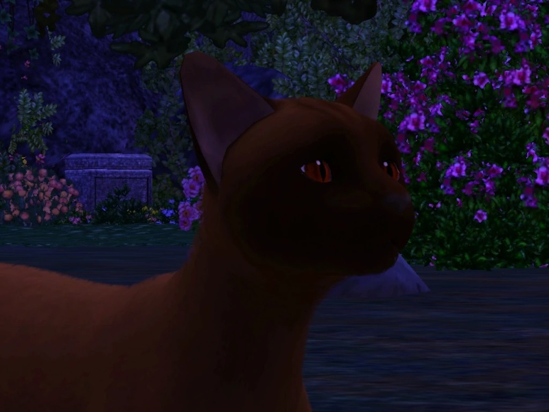 Buzzardcry - AI Character on RolePlai