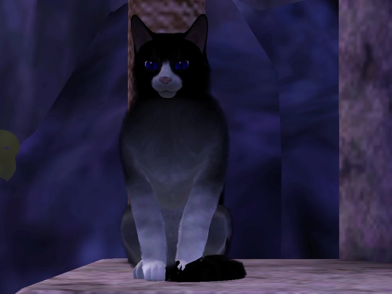 Driftstar - AI Character on RolePlai