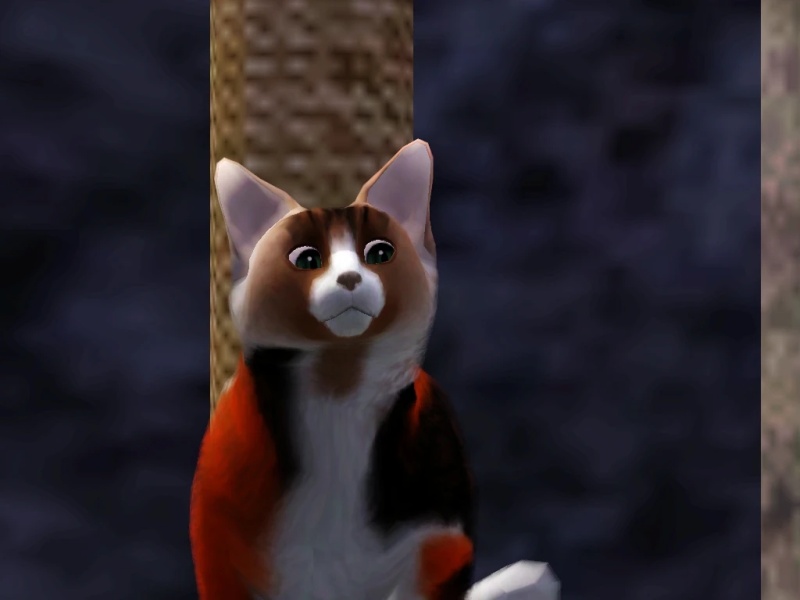 Eaglestar - AI Character on RolePlai