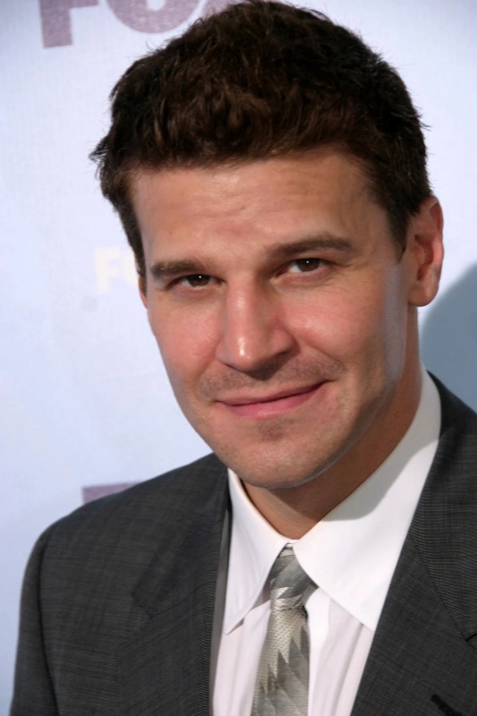 David Boreanaz - AI Character on RolePlai