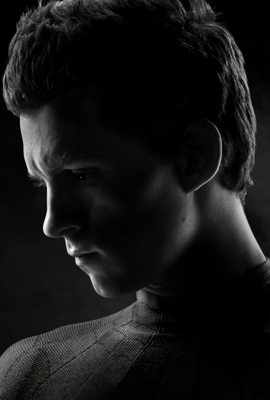 Spider-Man/Marvel Cinematic Universe - AI Character on RolePlai