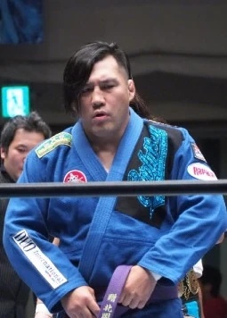 Hikaru Sato - AI Character on RolePlai