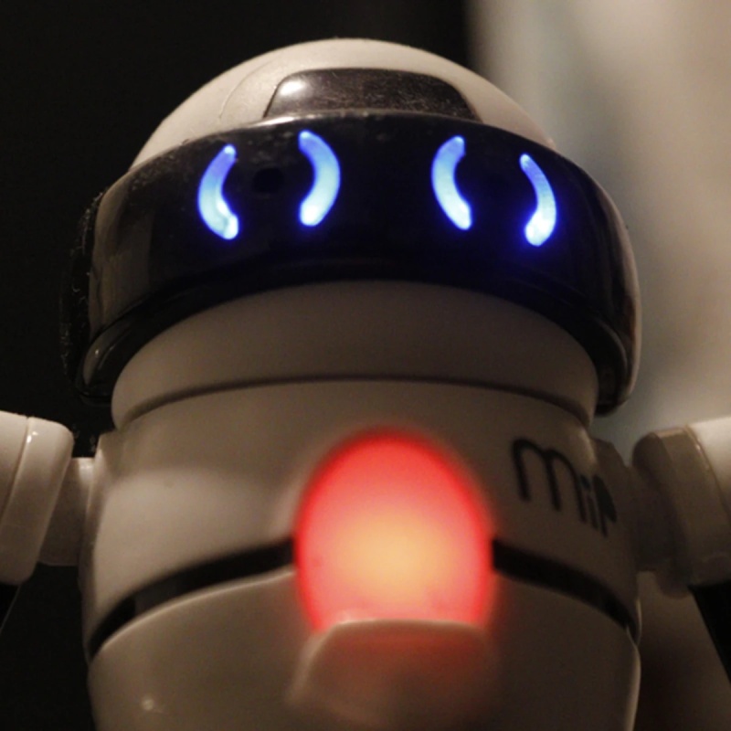 MiP - AI Character on RolePlai